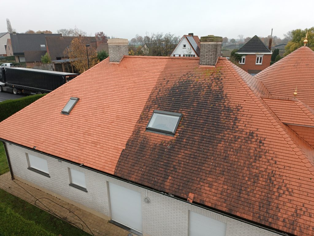 dakpannen reinigen zonder hogedruk