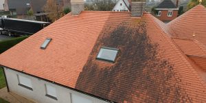 dakpannen reinigen zonder hogedruk